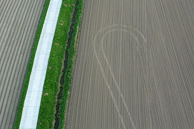 BUITEN BEELD Foto: 258733