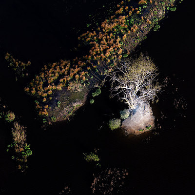 BUITEN BEELD Foto: 258750
