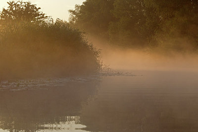 BUITEN BEELD Foto: 258914