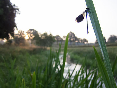 BUITEN BEELD Foto: 258974