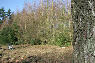 BUITEN BEELD Foto: 25021