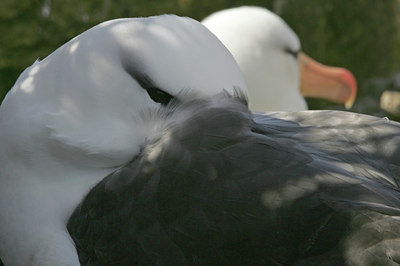 BUITEN BEELD Foto: 25235