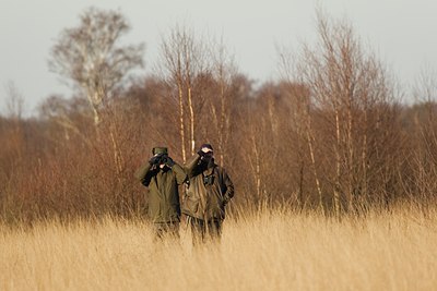 BUITEN BEELD Foto: 25258