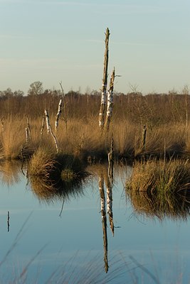 BUITEN BEELD Foto: 25261