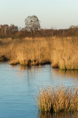 BUITEN BEELD Foto: 25262