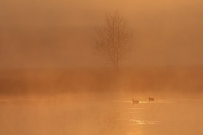 BUITEN BEELD Foto: 25318