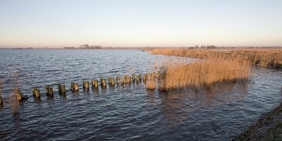 BUITEN BEELD Foto: 25342