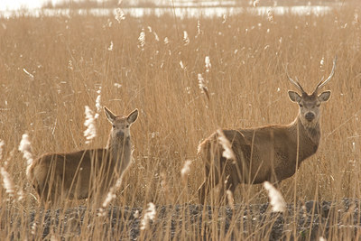 BUITEN BEELD Foto: 25394