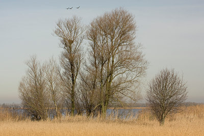 BUITEN BEELD Foto: 25443