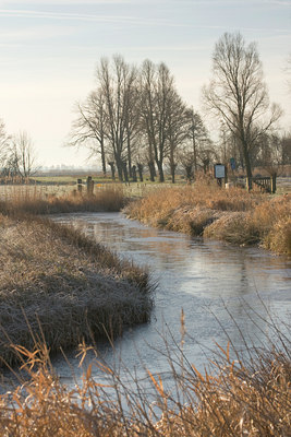 BUITEN BEELD Foto: 25456