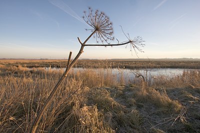 BUITEN BEELD Foto: 25459