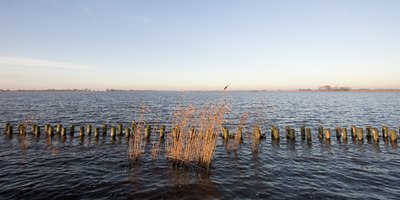 BUITEN BEELD Foto: 25461