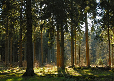 BUITEN BEELD Foto: 25482