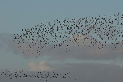 BUITEN BEELD Foto: 25505