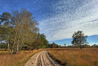 BUITEN BEELD Foto: 25526