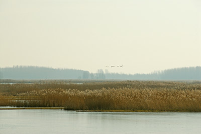 BUITEN BEELD Foto: 25541