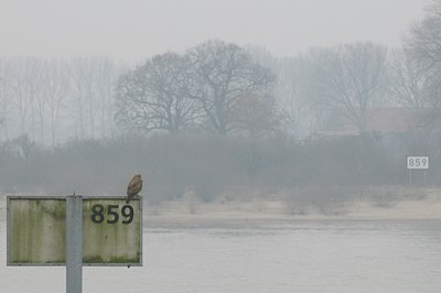 BUITEN BEELD Foto: 25620