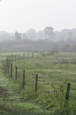 BUITEN BEELD Foto: 25624