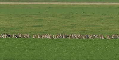 BUITEN BEELD Foto: 25640