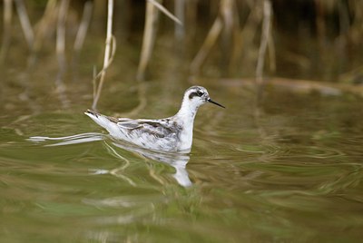 BUITEN BEELD Foto: 25665