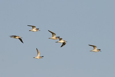 BUITEN BEELD Foto: 25675