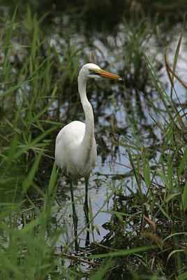 BUITEN BEELD Foto: 25698