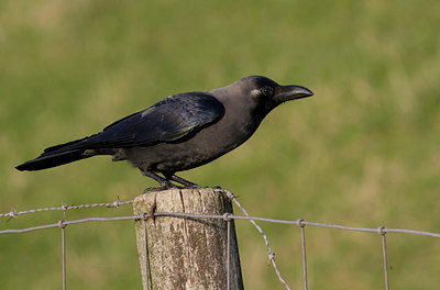 BUITEN BEELD Foto: 25711