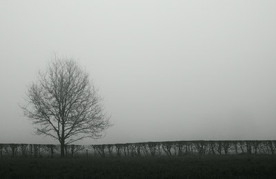 BUITEN BEELD Foto: 25734