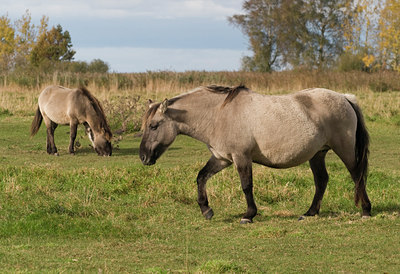 BUITEN BEELD Foto: 25763
