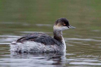 BUITEN BEELD Foto: 25767