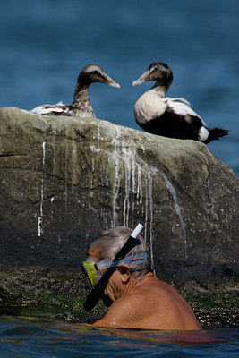 BUITEN BEELD Foto: 25827