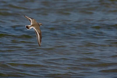 BUITEN BEELD Foto: 25846