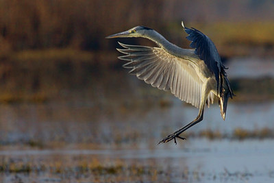 BUITEN BEELD Foto: 25958