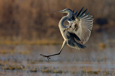 BUITEN BEELD Foto: 25959