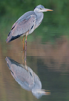 BUITEN BEELD Foto: 25967