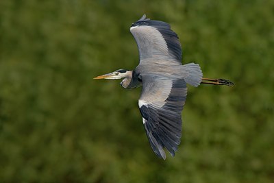 BUITEN BEELD Foto: 25972