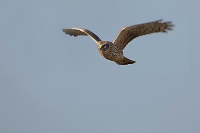 BUITEN BEELD Foto: 25979