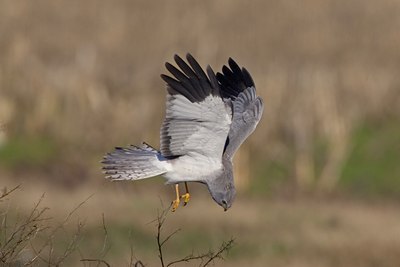 BUITEN BEELD Foto: 25982
