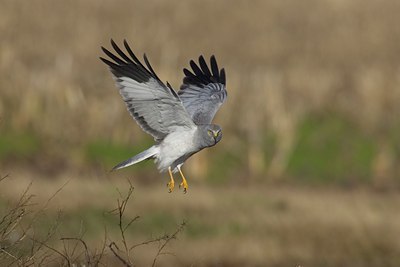 BUITEN BEELD Foto: 25991