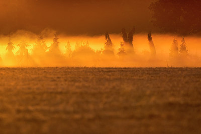 BUITEN BEELD Foto: 259145