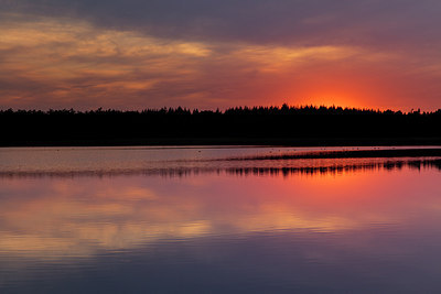 BUITEN BEELD Foto: 259204