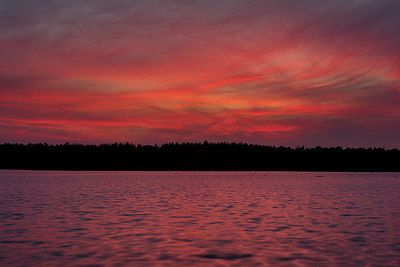 BUITEN BEELD Foto: 259205