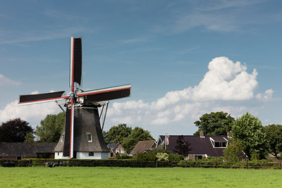 BUITEN BEELD Foto: 259313
