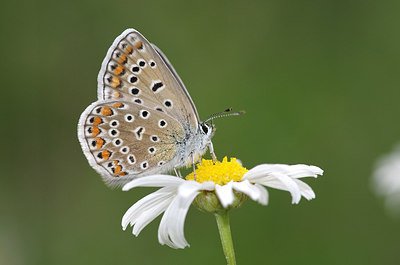 BUITEN BEELD Foto: 259416