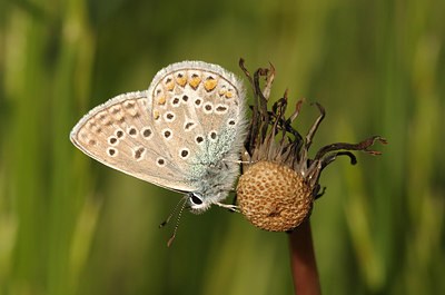 BUITEN BEELD Foto: 259433