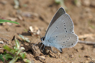 BUITEN BEELD Foto: 259477