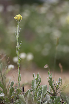 BUITEN BEELD Foto: 259504