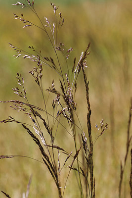 BUITEN BEELD Foto: 259569