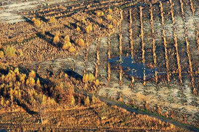 BUITEN BEELD Foto: 259795