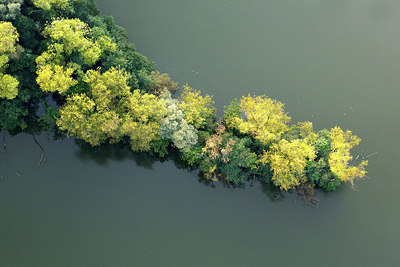 BUITEN BEELD Foto: 259900
